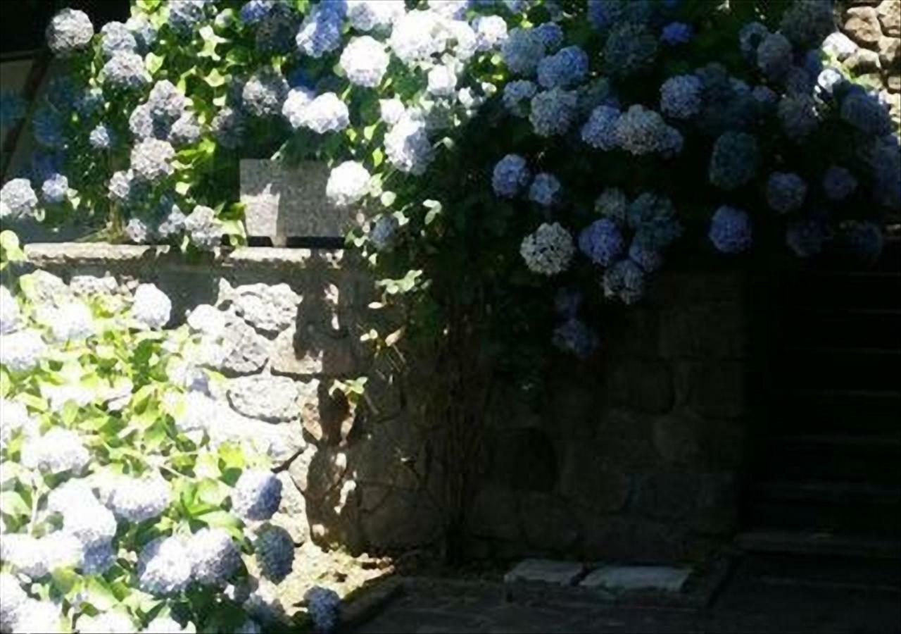 La Villetta In Montagna Vivo dʼOrcia 외부 사진